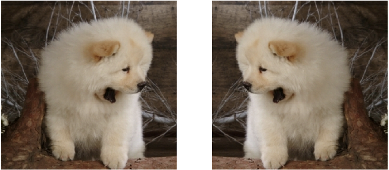 Convolution Vs Correlation Convolutional Neural Networks Which Are Convolution vs correlation convolutional neural networks which are