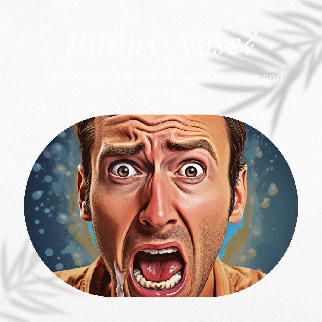 Why Does a Fly Swatter Work? The Science Behind It by Why Does That