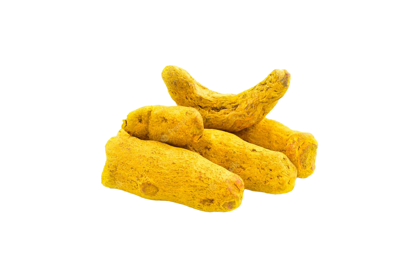 IngexBotanicals Ginger Extract Manufacturers in India. Ginger Extract