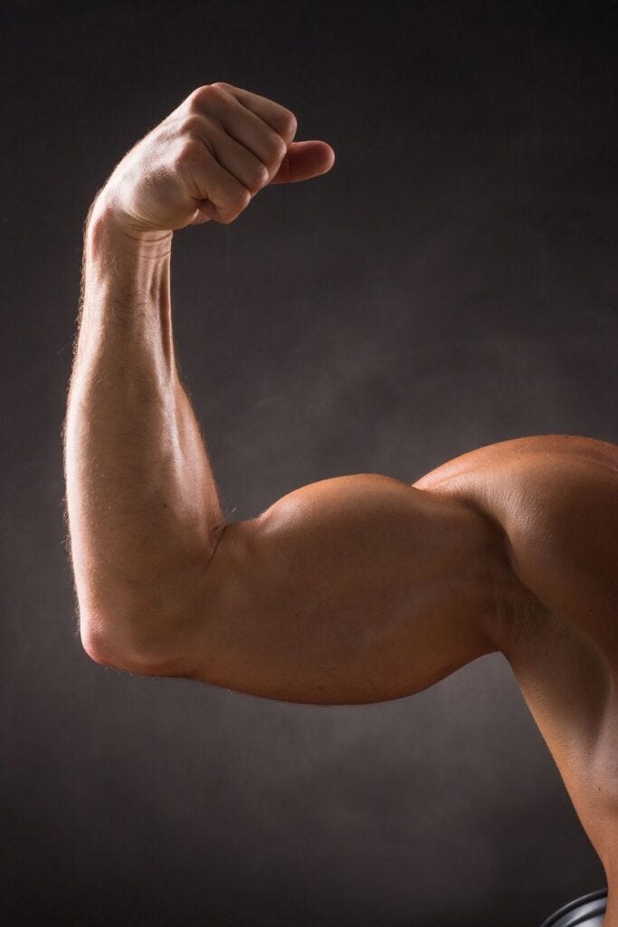 Why do I have triceps bigger than biceps? - FitBodii-Home Fitness - Expert  Advice!