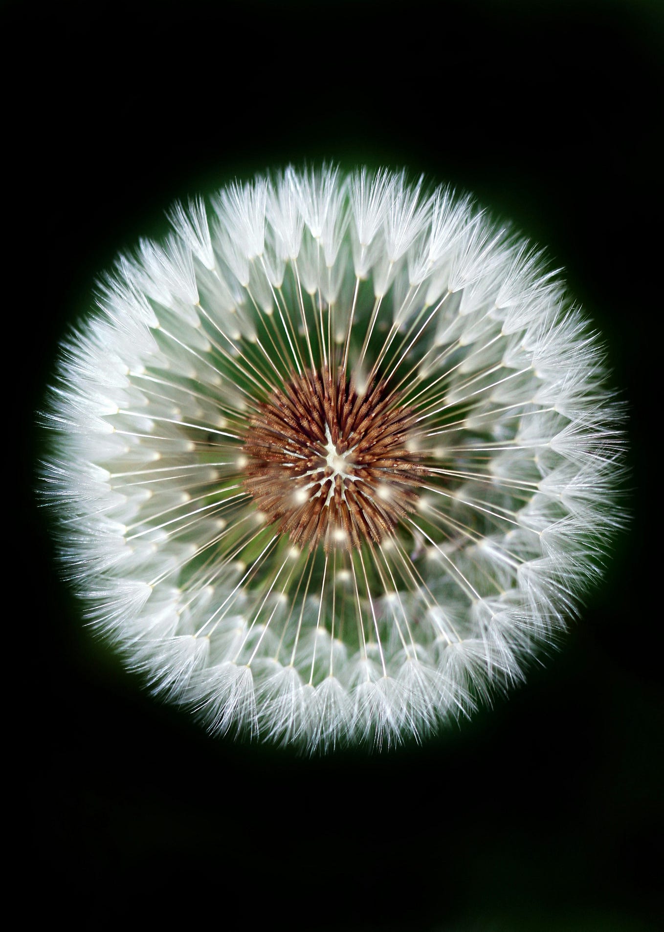 What is keepa in the vast expanse of amazon s by angela w medium