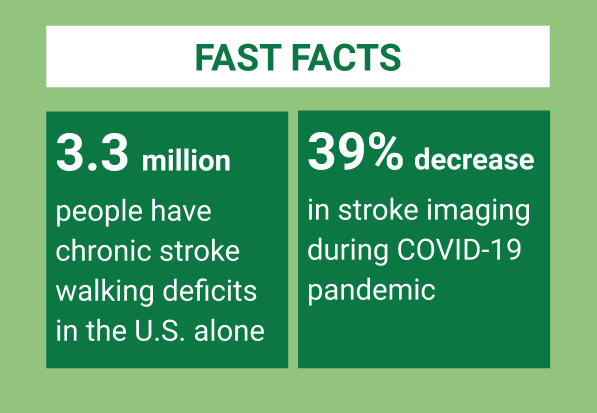 The Indirect Effects of COVID-19 on Stroke Care