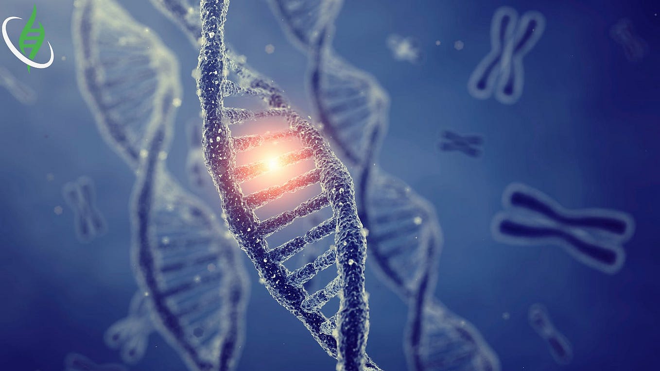 The Secrets of Ovarian Aging What They Mean for Your Health