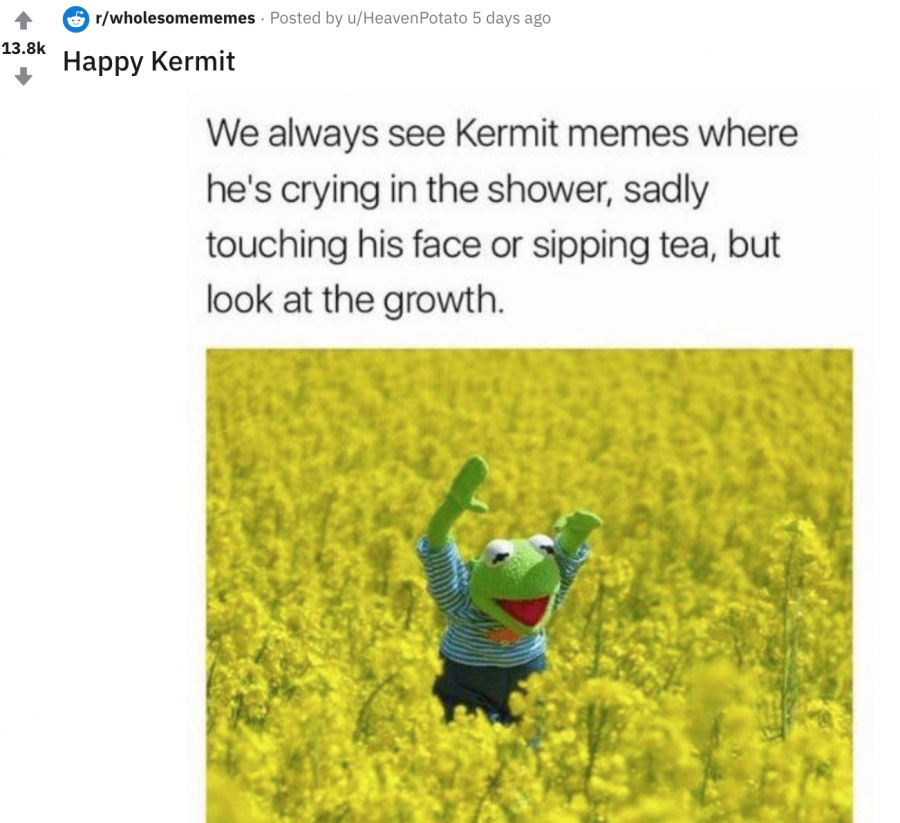 keep doing your best reddit! : r/wholesomememes