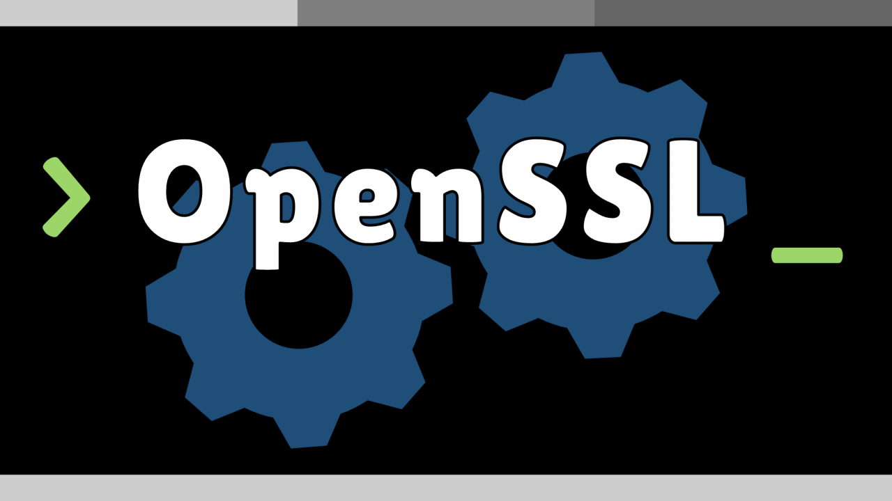 generate self signed certificate openssl