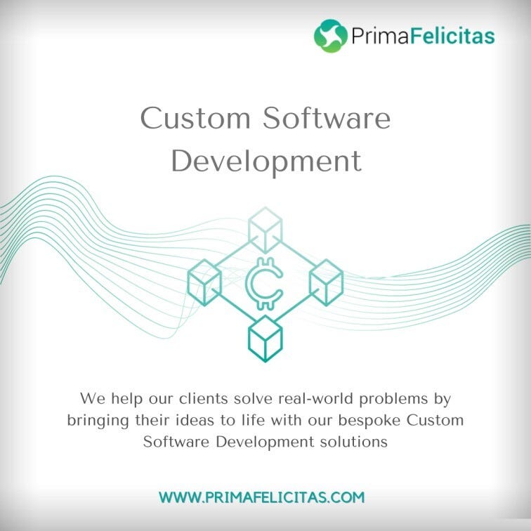 The Potential of Custom Software Development: Making Solutions to ...