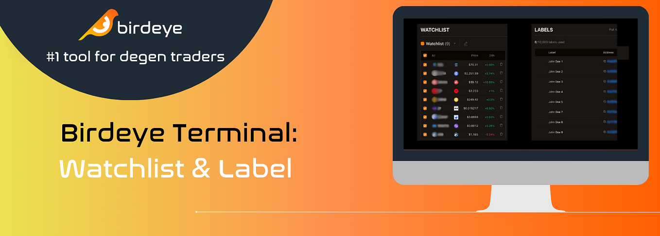 New Feature: Birdeye Terminal. Birdeye Terminal lets crypto traders