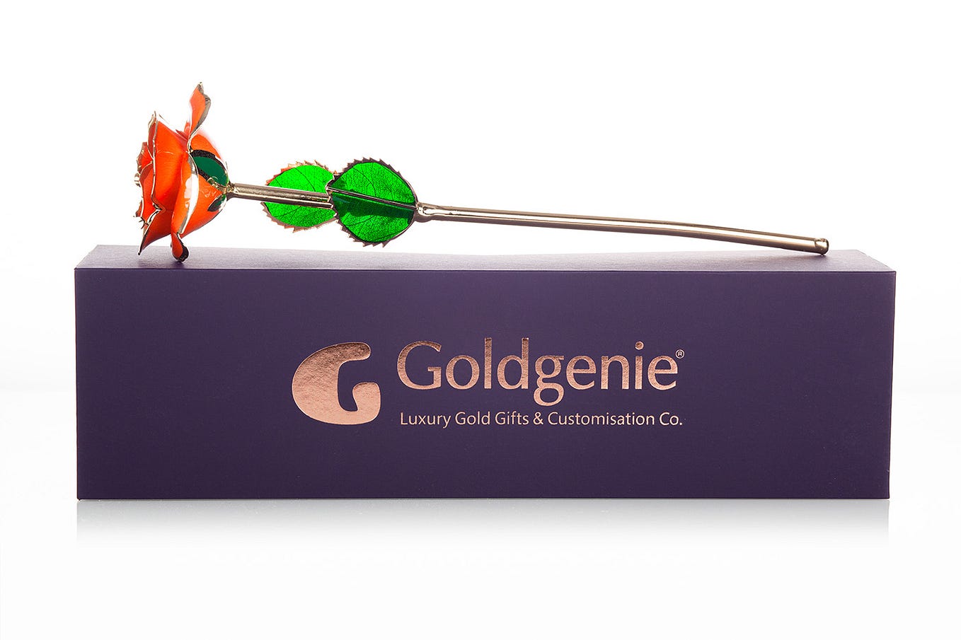Goldgenie Pro: Gold, Silver & Chrome Plating Business Opportunity –  Goldgenie Official Blog