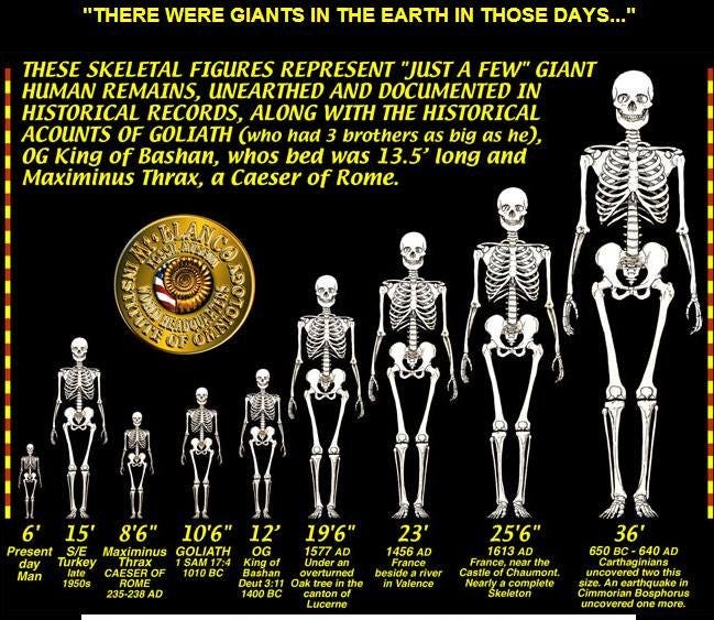 7 Examples of Proof that Giants Existed