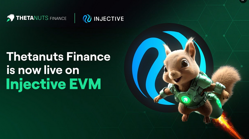 “Navigating the World of Options: A Deep Dive into Thetanuts Finance’s 