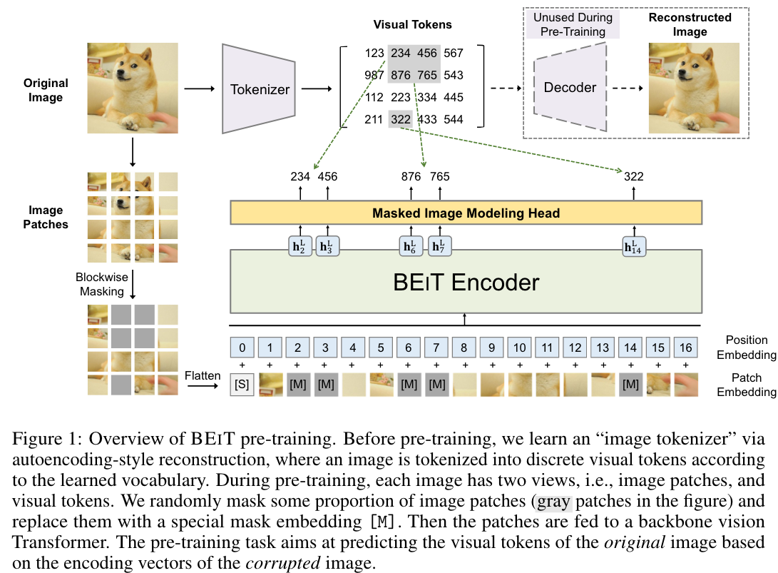 DINO: DETR with Improved DeNoising Anchor Boxes for End-to-End Object ...