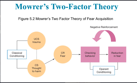 Mind, Brain, and the Self. How are the mind and brain related? And ...