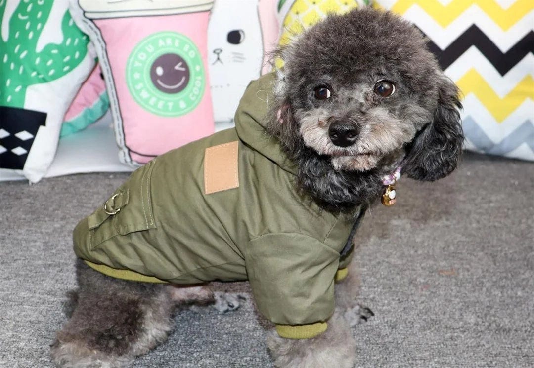 Puppy parka hotsell