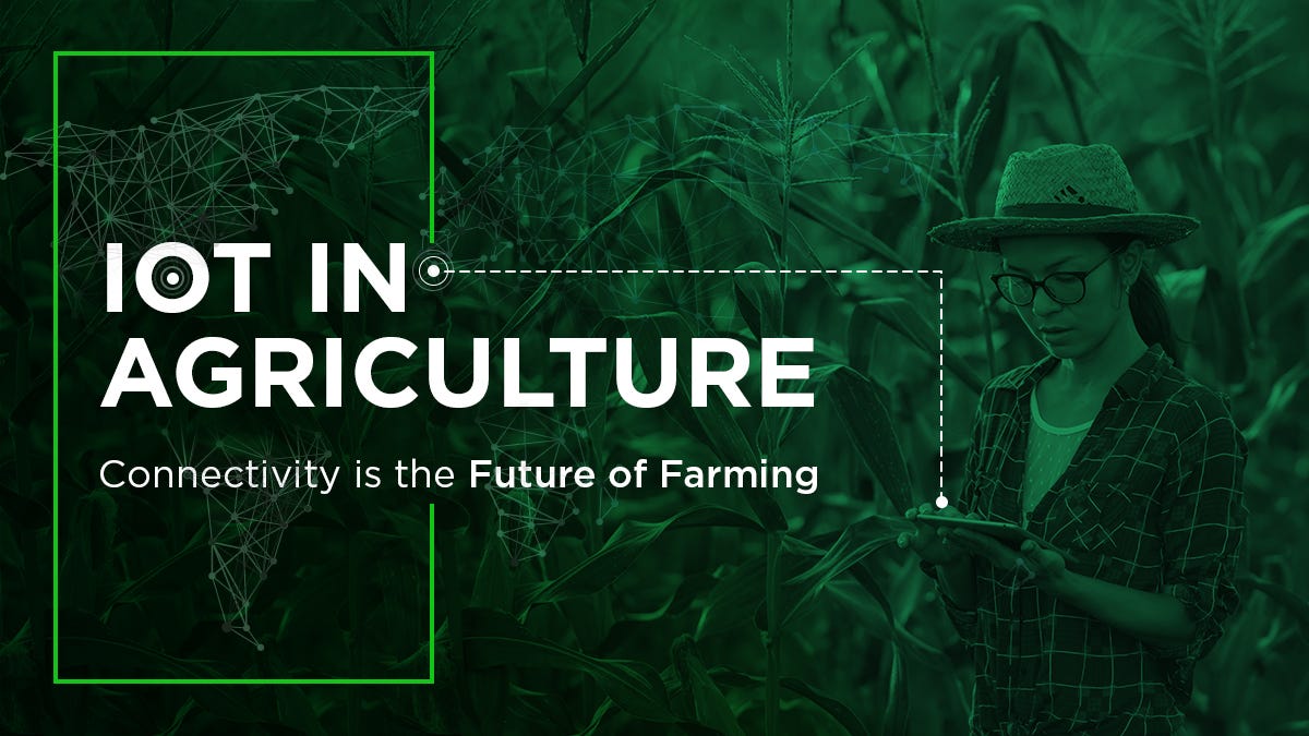 IoT in Agriculture: Connectivity is the Future of Farming