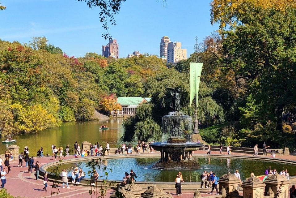 Central Park: A New York Icon Celebrated for More Than Just Scenery ...