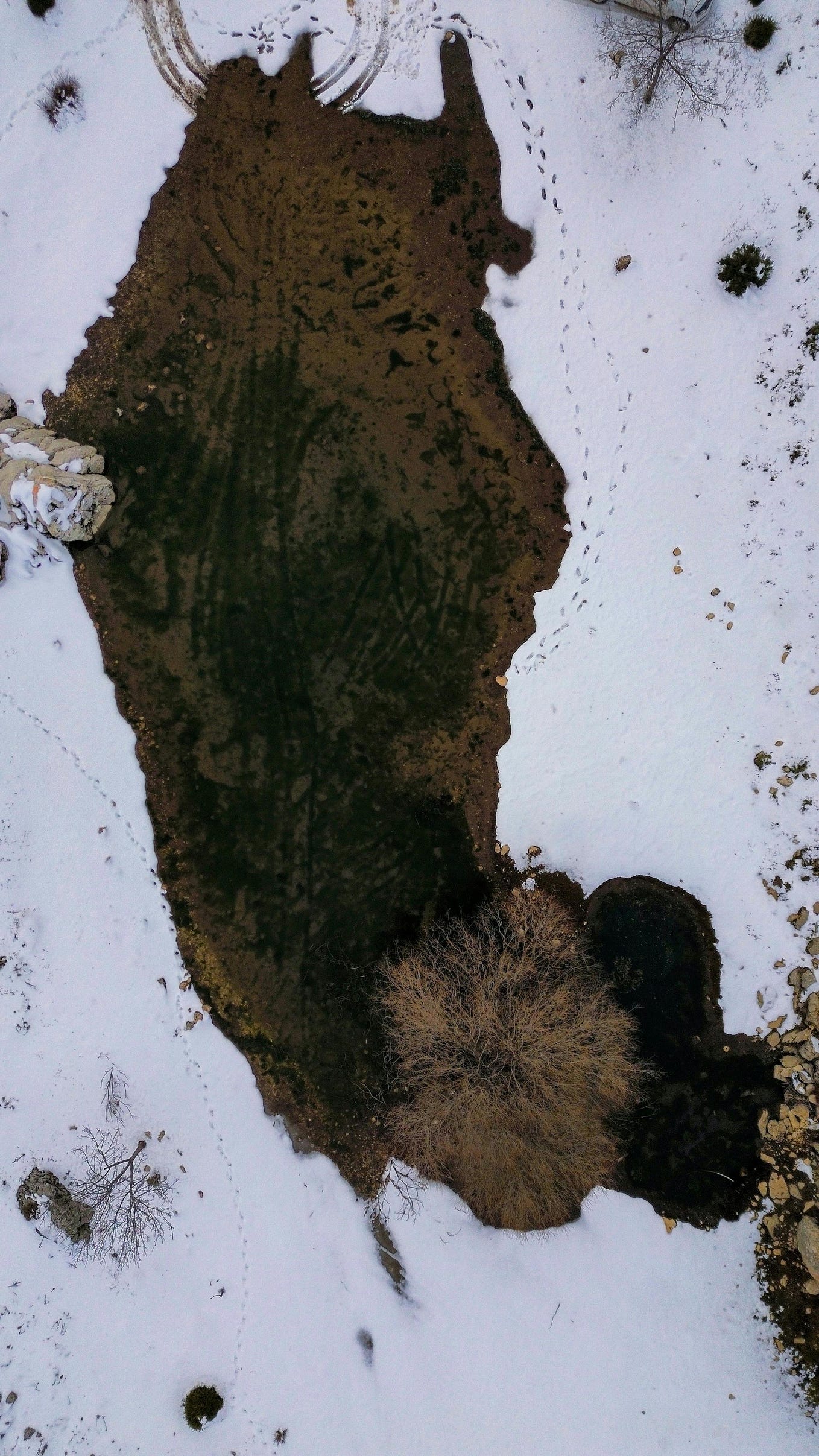 What Constitutes Your Online Presence? by NaturelleAI Sep, 2024