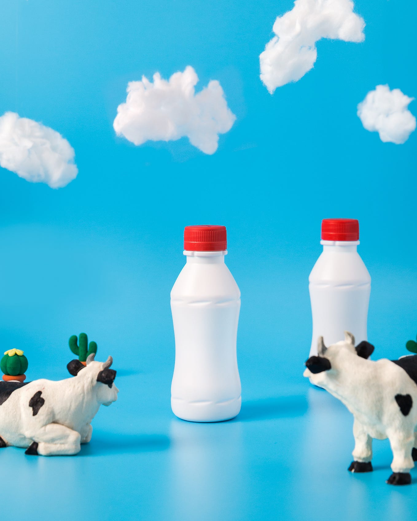 Two toy cows in the foregroun look back at two bottles of milk. There is a fake powder blue sky in the background, with a few clouds at the top. Probiotics are live microorganisms intended to have positive health effects when consumed (or applied to the body). Probiotics are in dietary supplements, beauty products, kefir, yogurt, and other fermented foods.