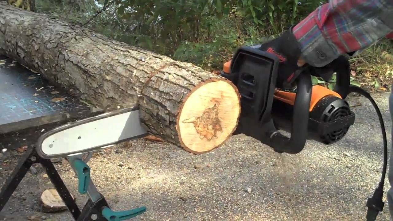 Everything You Need to Know About Buying Electric Chainsaws, by Michael  Foley