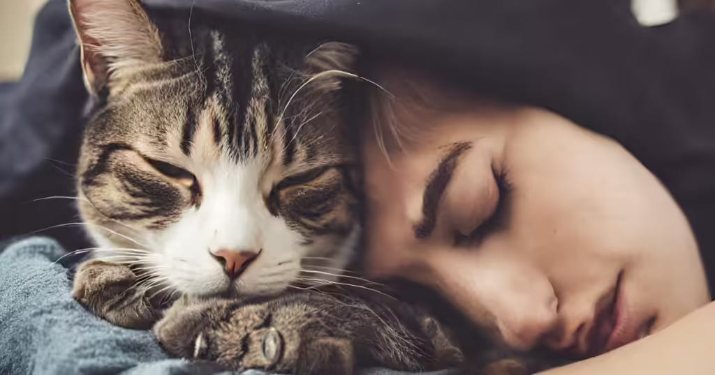 10-facts-about-cats-you-must-know-medium