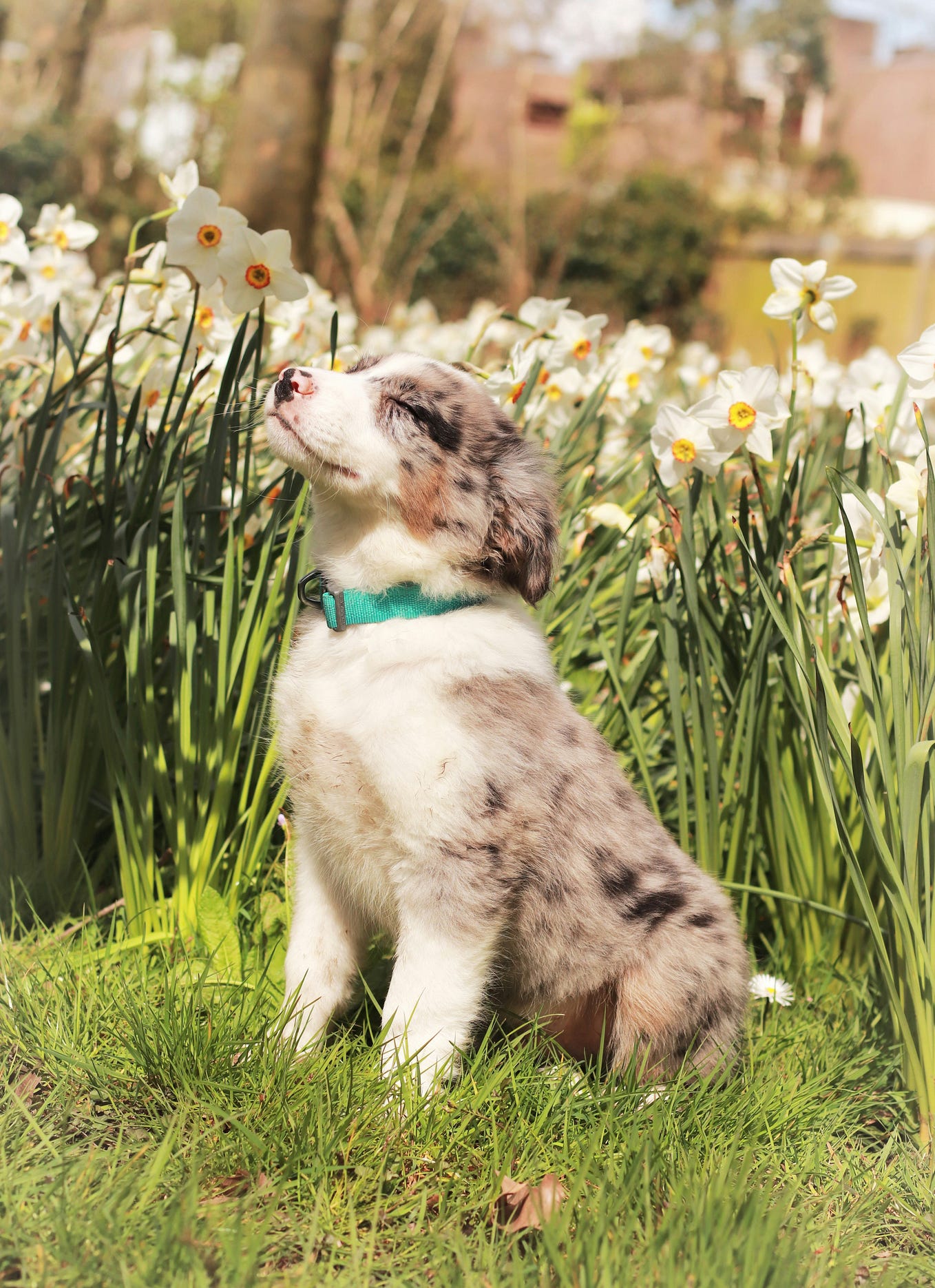 2024 Pennsylvania Elections A Debate of Ideals and Impacts by Cevher