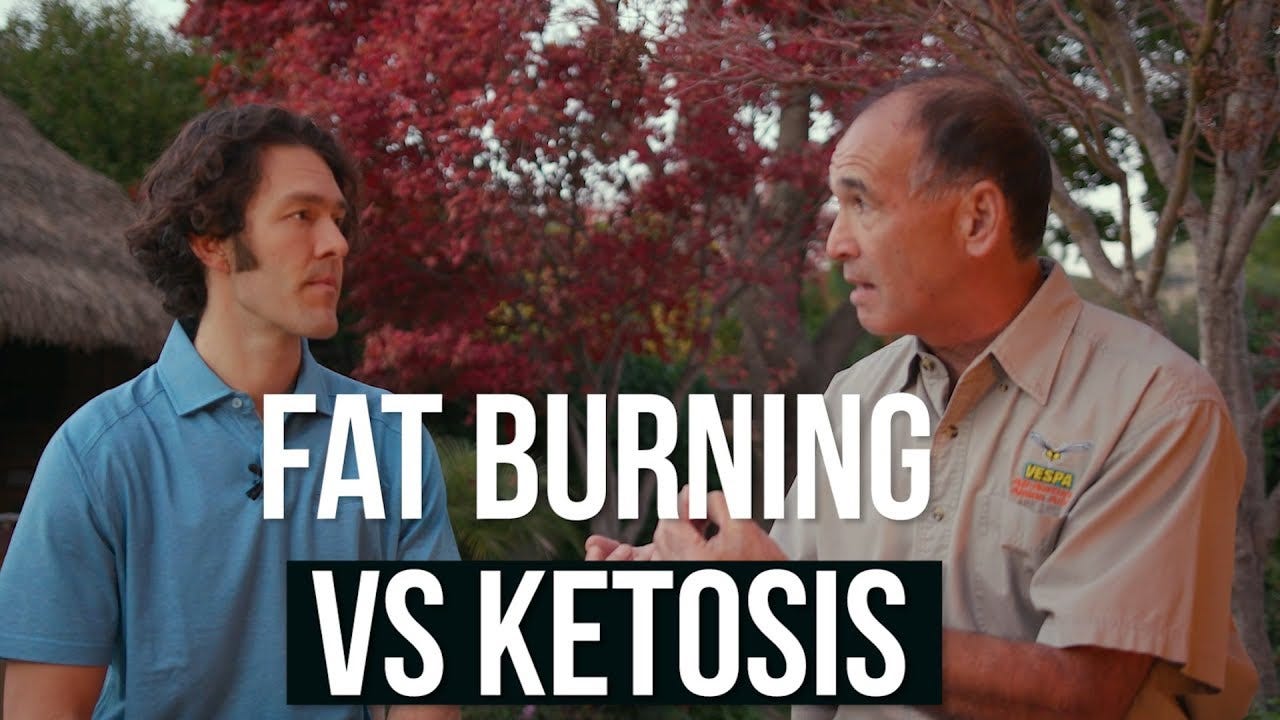 Should You Burn Fat Before Building Muscle The Definitive Guide by