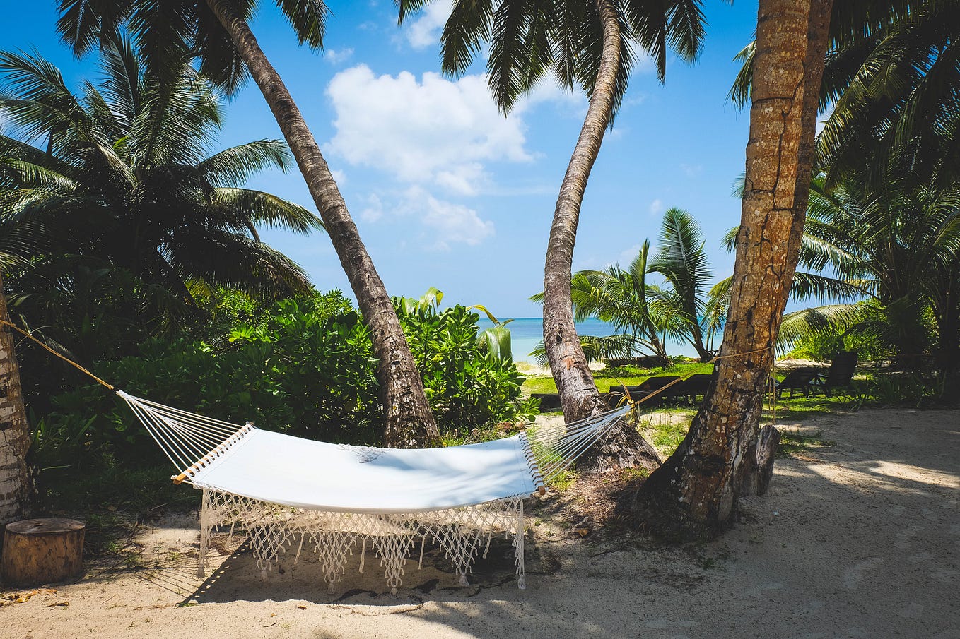 How To Be Mindful In A Distracted World: 7 Tips For A Calmer You. A white hammock is strung between two palm trees on a white sandy beach. The sky is clear blue, and the blue ocean is seen in the distance.