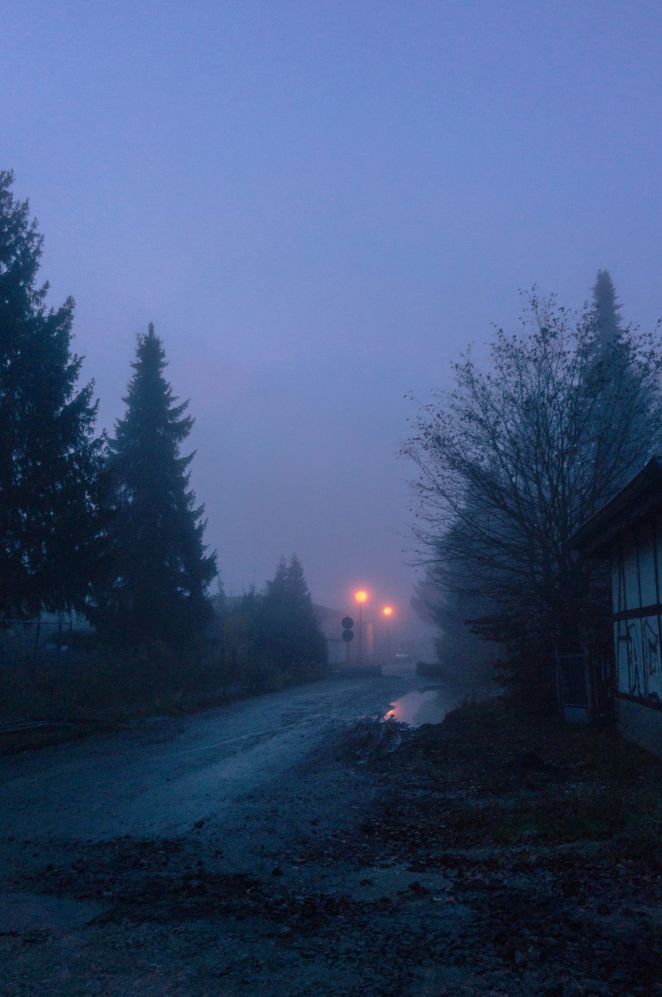 What’s your reason to live? Brain in a bottle Medium