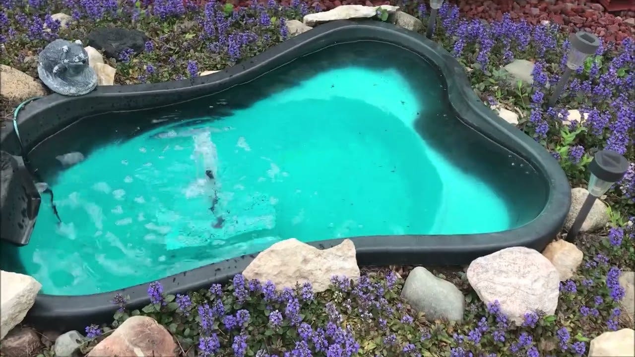 How to Apply Pond Paint for a Beautiful Water Feature by Fxhenry Medium