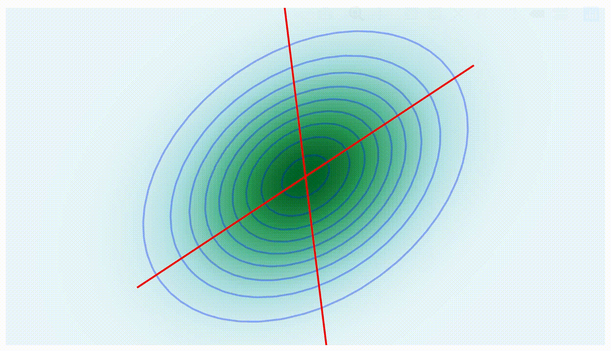 10 Fundamental Image Processing Concepts with OpenCV in C++ | by ...