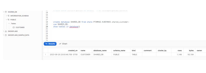 Exceptions in Snowflake Stored Procedures - ThinkETL