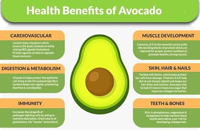 The Health Benefits of Unpolished Avocado Oil