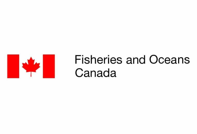 Canada Summer Jobs 2024 Government of Canada Jobs Medium