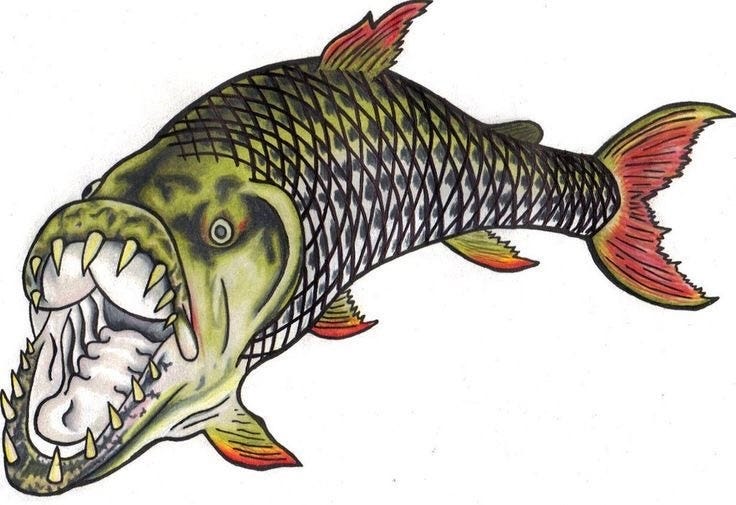 Tiger Fish. The tiger fish, ( Video)also known as…, by Johnbritto  Kurusumuthu