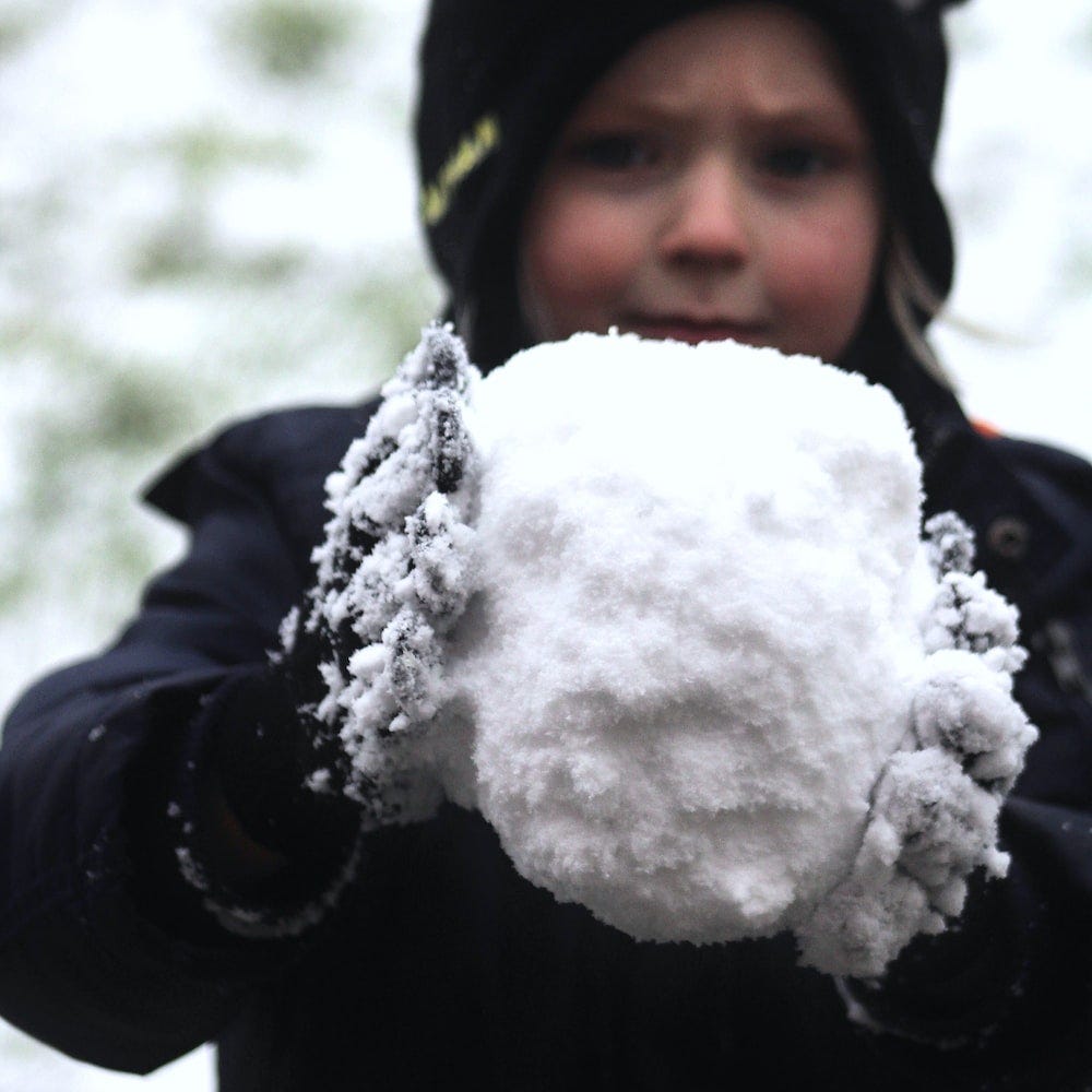 The Snowball Effect: Small Actions, Big Impact, by Krish Shah