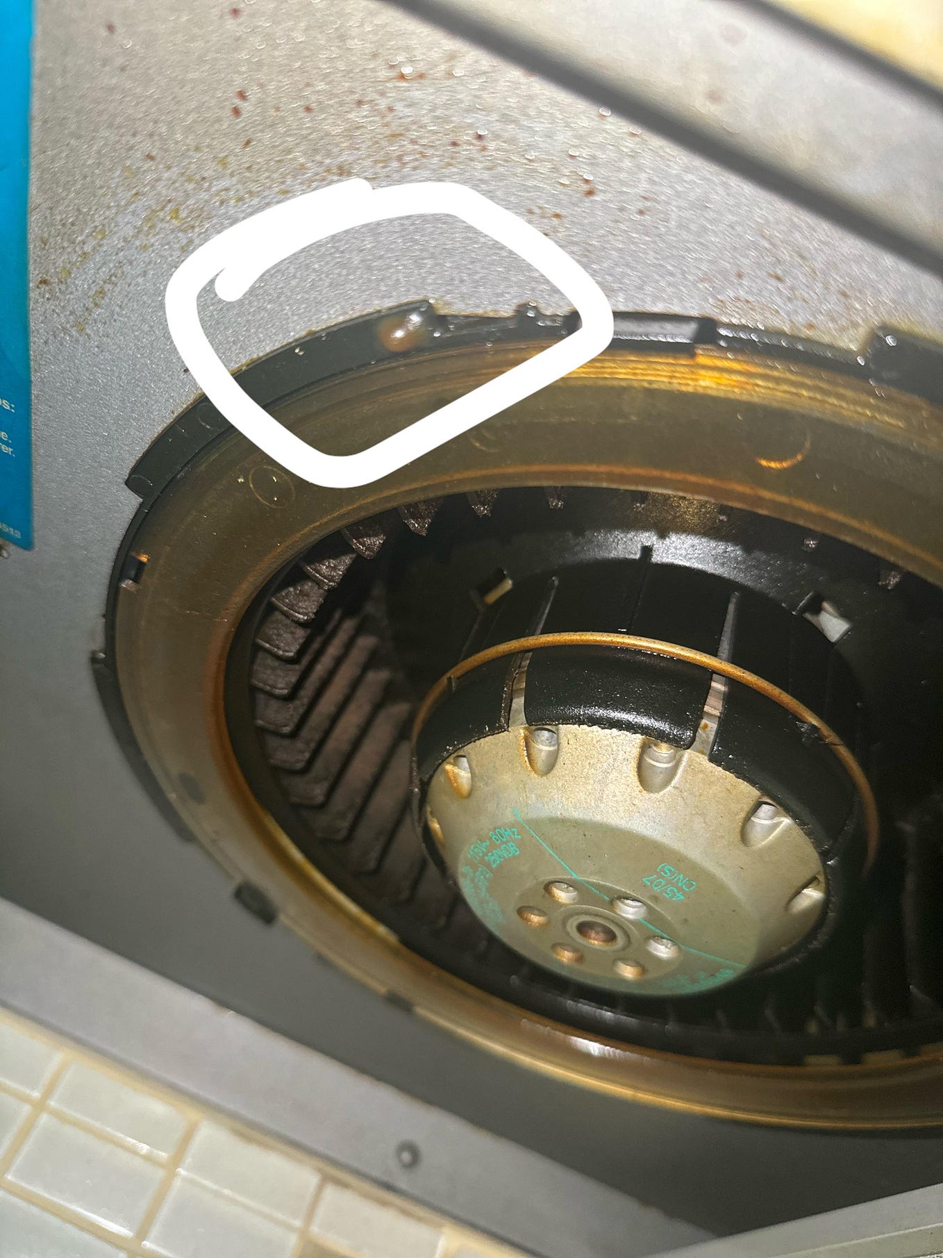 Hauslane UCPS38SS30 Unleash Kitchen Elegance! by Tonya Kennedy