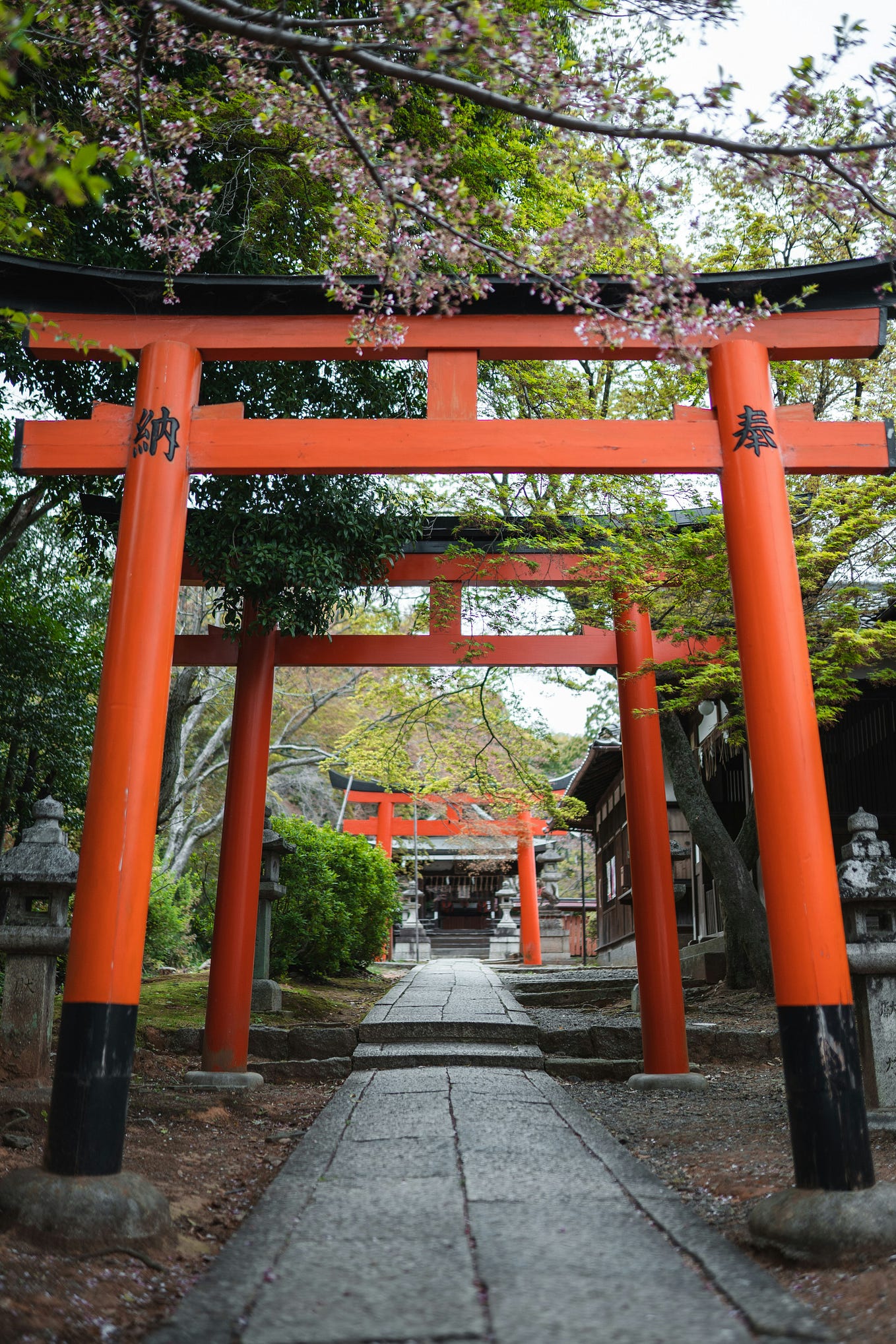 REVIEW: Nijo Castle Night Illumination — History Lit by Lanterns | by ...