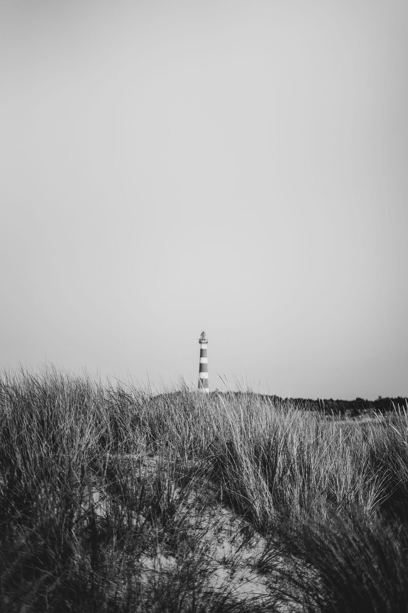 how-to-practice-stoicism-into-your-daily-routine-10-stoic-tips-by