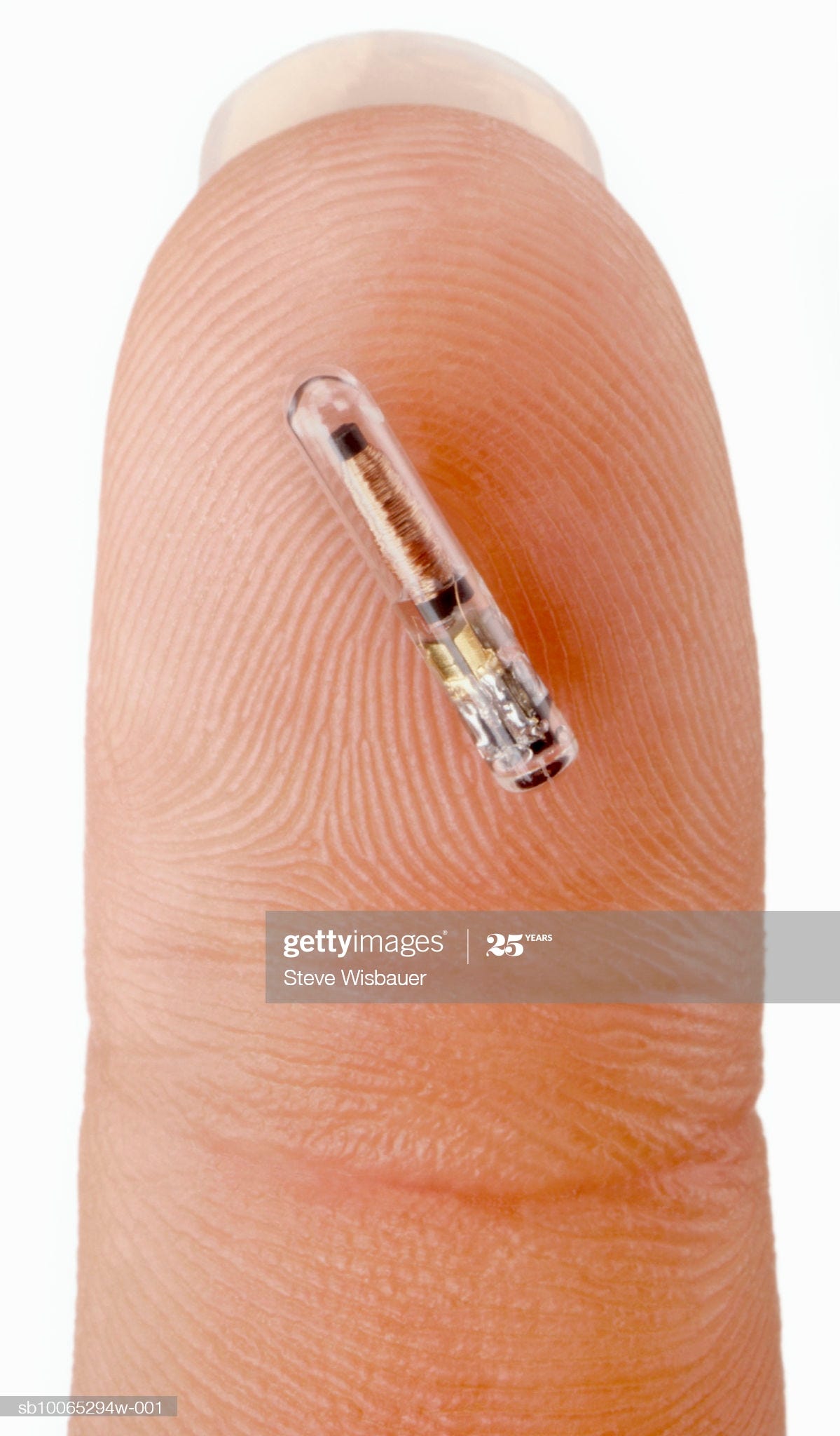 Emerging Technology RFID Implants by Mae Kubena Medium