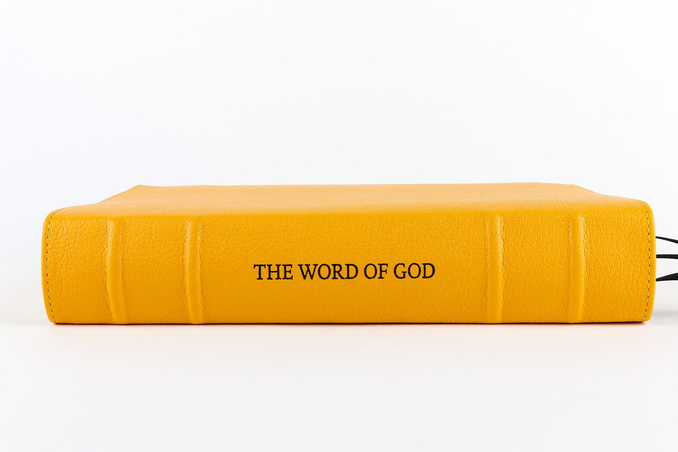thanks-orla-for-your-devotion-and-loyalty-to-god-one-of-my-most