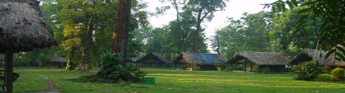 A Comprehensive Guide To Choosing The Perfect Assam Tour Package ...