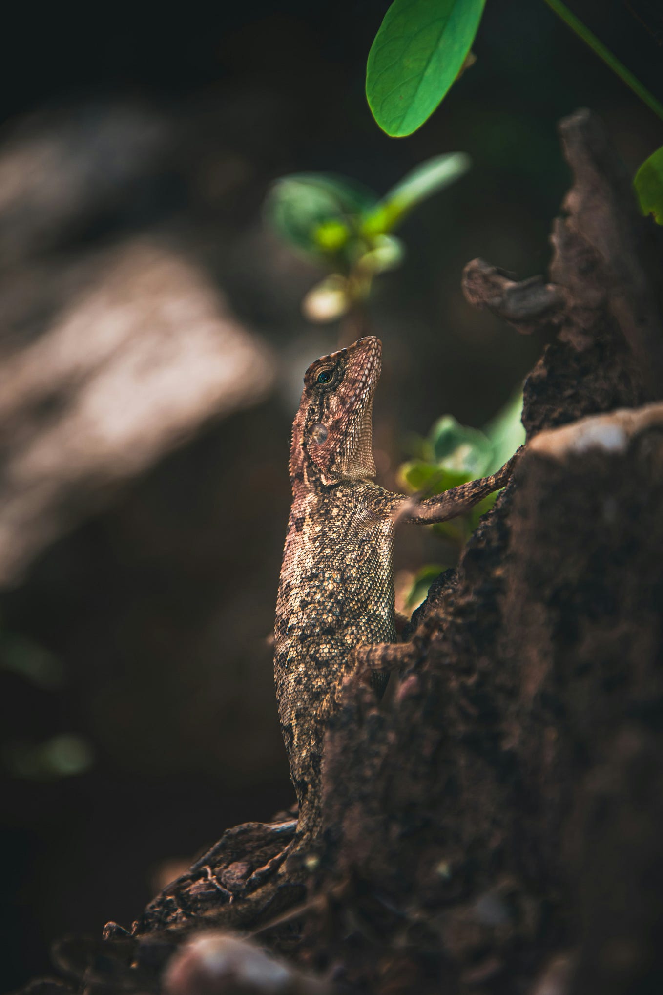 You are Beautiful Just the Way You are | by Shumaila Rafaqat ...