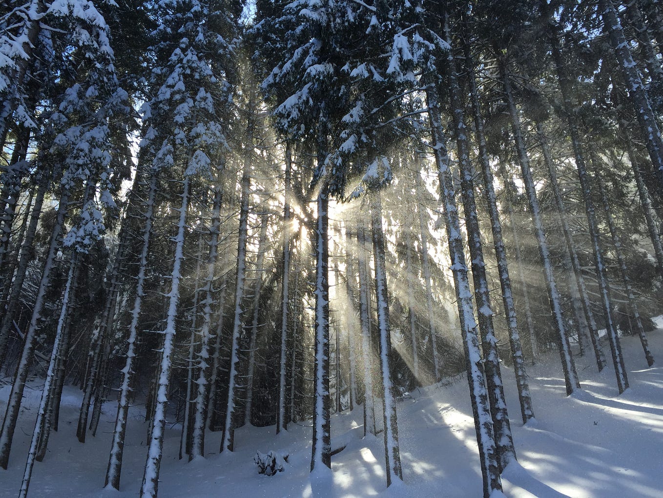Unlocking the Magic of the Winter Solstice