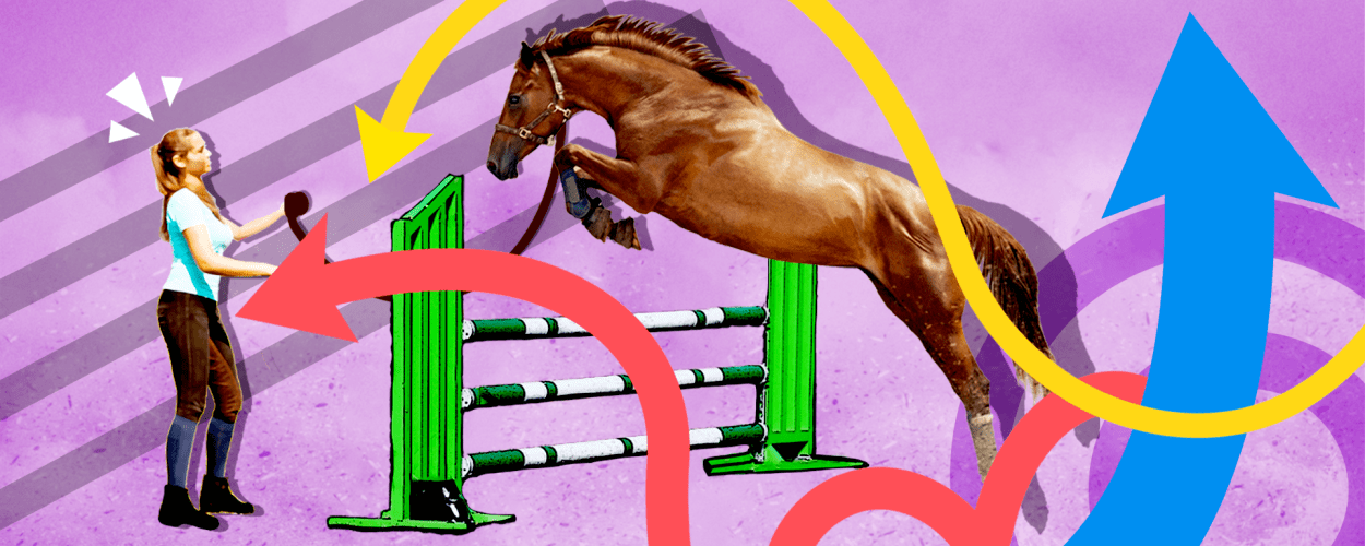 Incorporating Flatwork into Your Show Jump Training, by 3i Editor, Team  3i