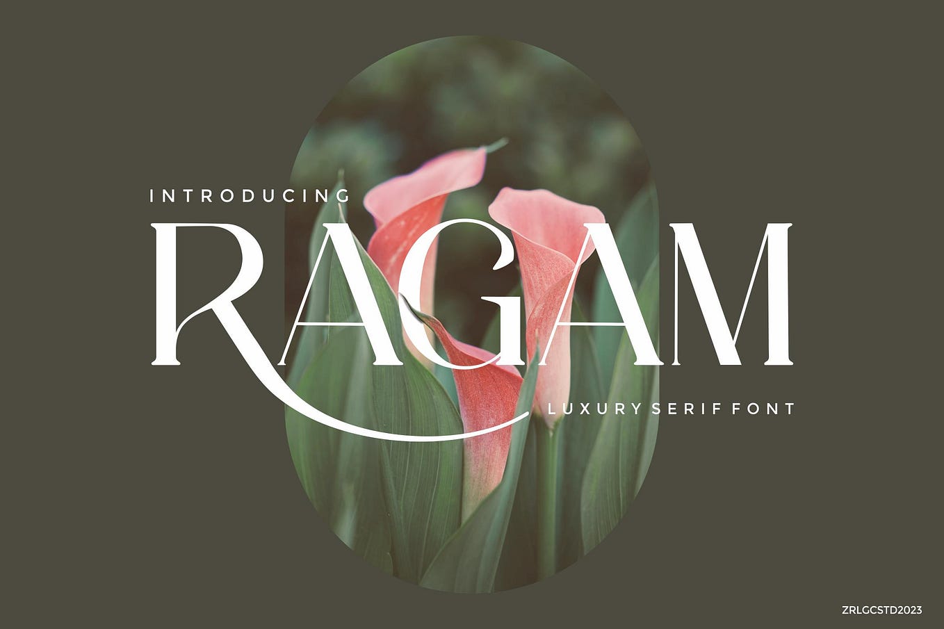 Ragam Luxury Font Cover Image 1