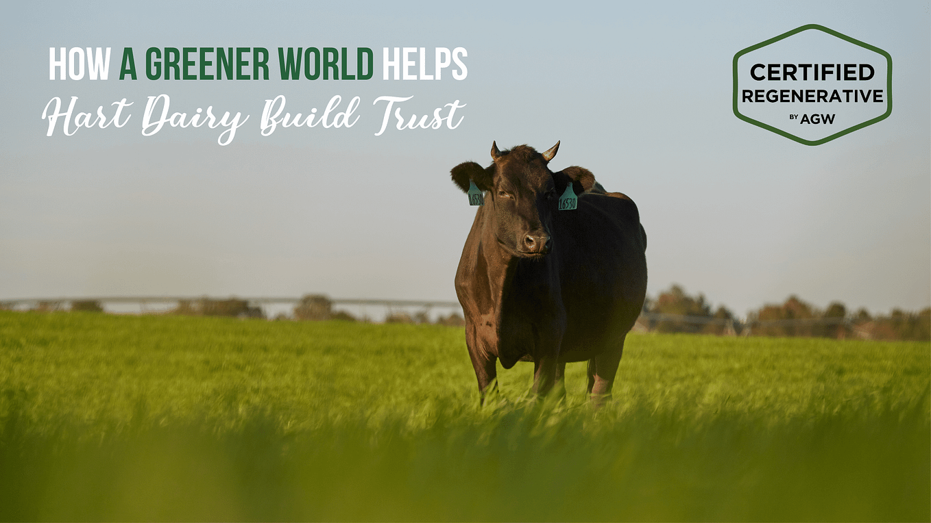 How Long Do Hart Dairy Cows Live? by Hart Dairy Creamery Medium