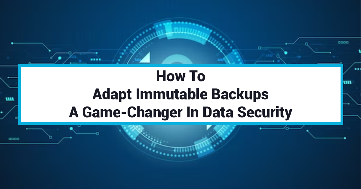 How To Adapt Immutable Backups: A Game-Changer In Data Security