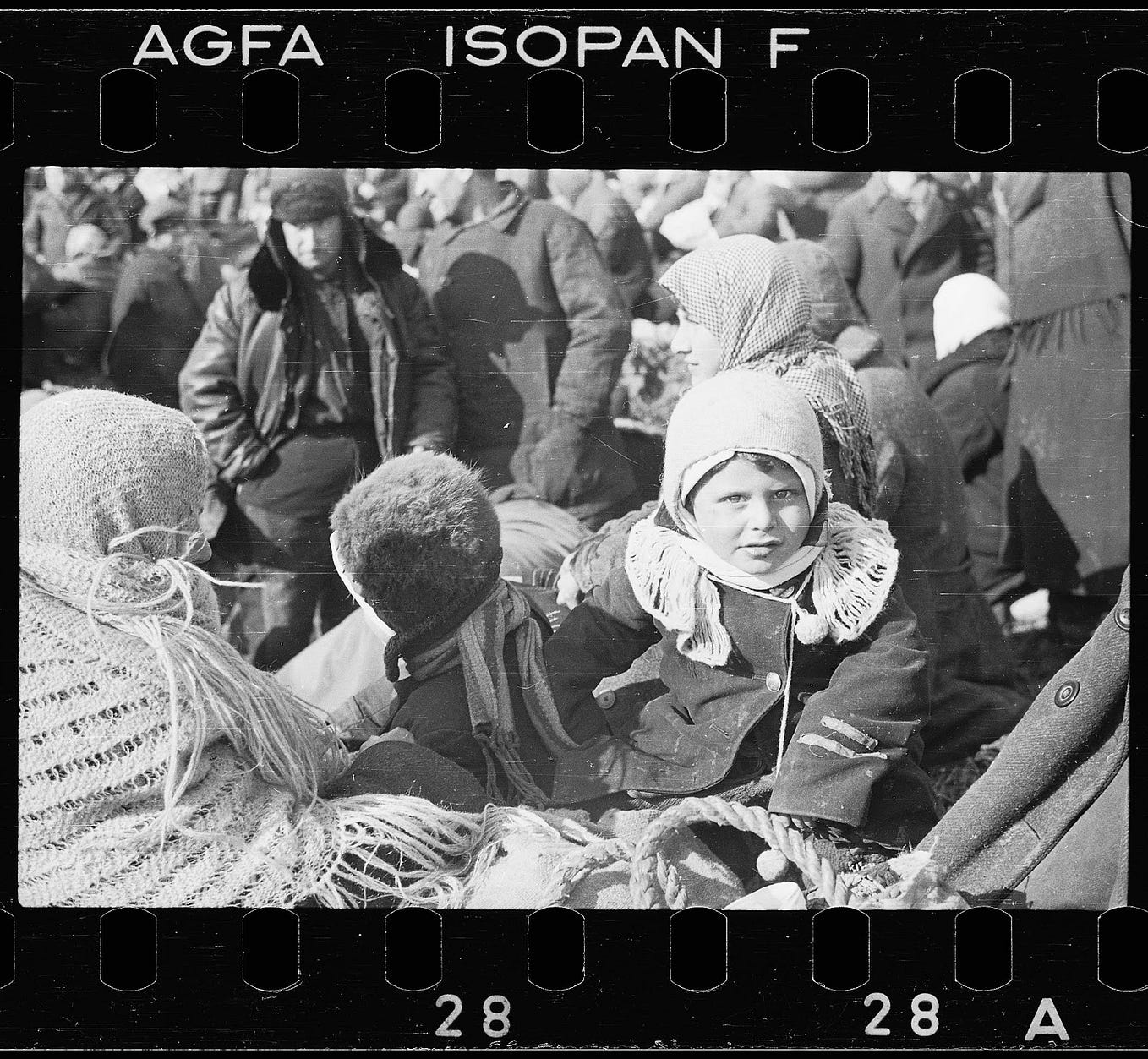 Hannah Szenes: The Young Poet and Parachutist Who Risked Her Life to ...