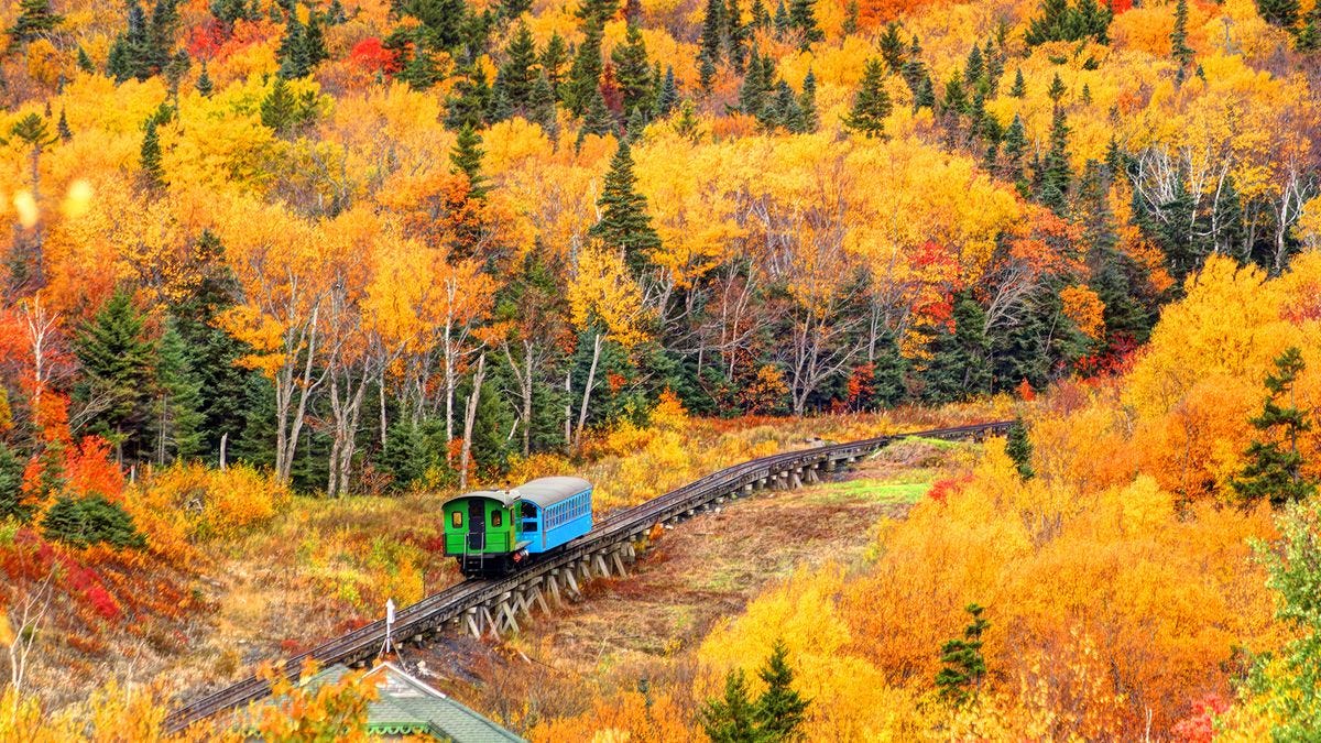 Capturing the Aesthetics of the Fall Season : Autumn Timeless Landscape 1 -  Fab Mood