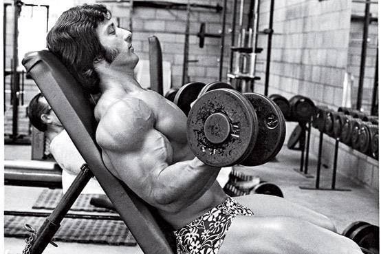 The Growth Program, Then and Now — Frank Zane | by Frank Zane | Medium