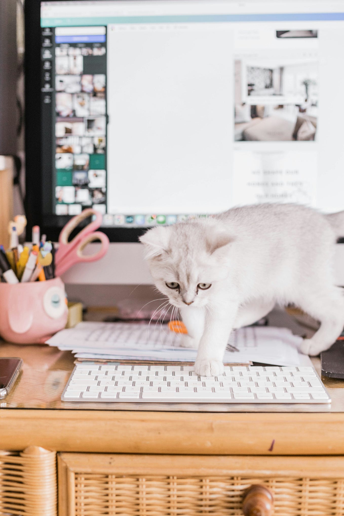 How I Automated My Entire Python Workflow: From Code Writing to ...